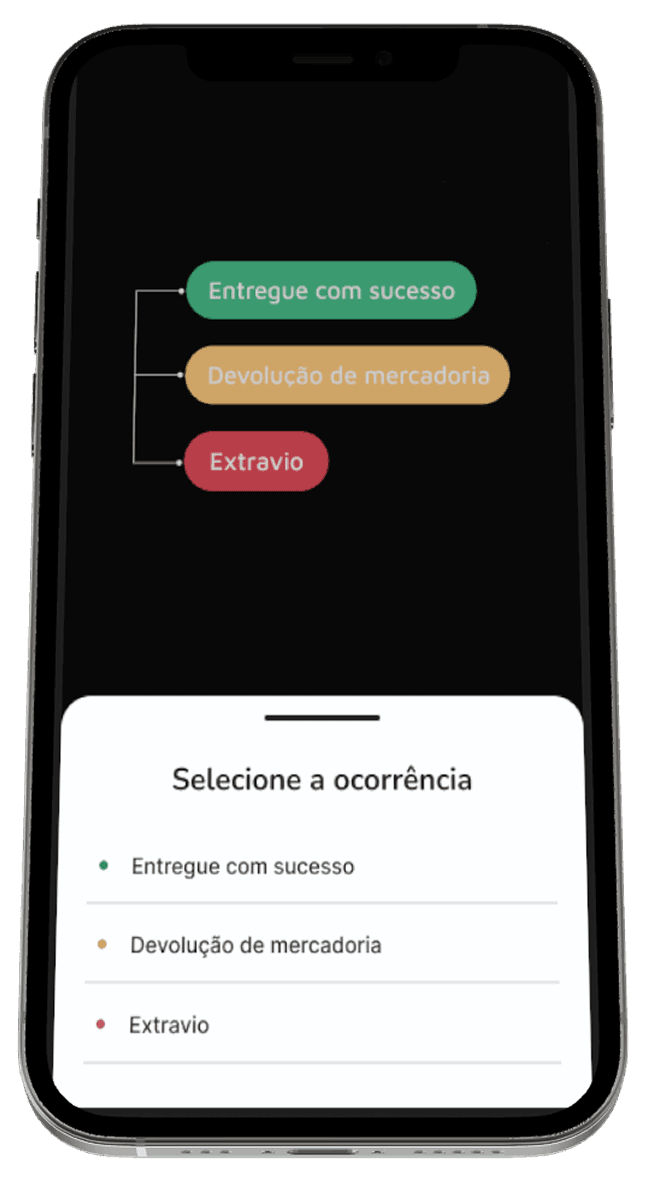 Imagem da seção 4 mostrando as opções de ocorrências de entrega